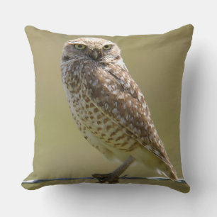 Barn Owl On The Wire Throw Pillow
