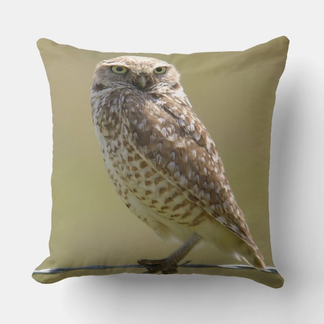 Barn Owl On The Wire Throw Pillow (Front)