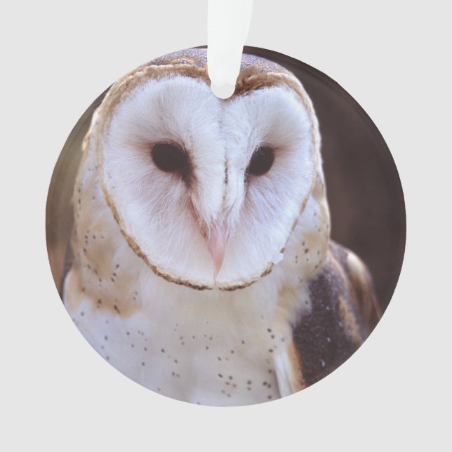 barn owl ornament (Front)
