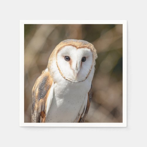 Barn Owl Paper Napkins