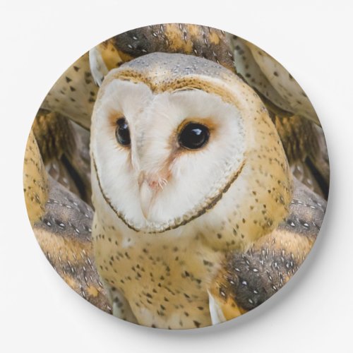 Barn Owl Paper Plates