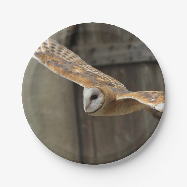 Barn Owl Paper Plates (Front)
