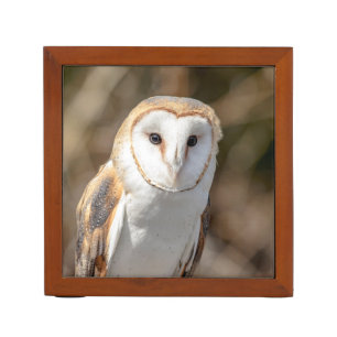 Barn Owl Pencil Holder