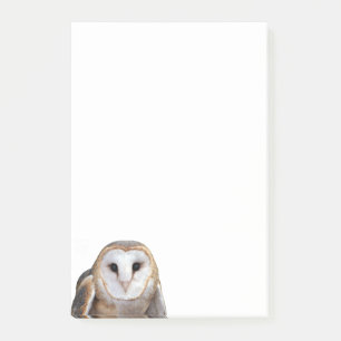 Barn Owl Photo 4x6 Notes Stationery