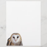 Barn Owl Photo Note Letterhead Stationery<br><div class="desc">Have some fun with your notes and letters by adding this pretty Barn Owl face photo to your letterhead stationery. Also makes a great gift for your owl lovers.</div>