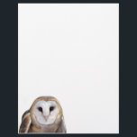 Barn Owl Photo Note Letterhead Stationery<br><div class="desc">Have some fun with your notes and letters by adding this pretty Barn Owl face photo to your letterhead stationery. Also makes a great gift for your owl lovers.</div>