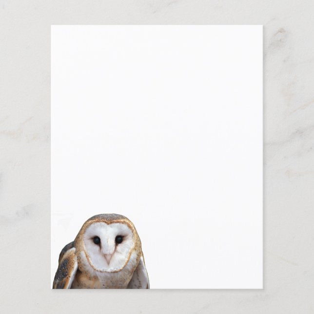 Barn Owl Photo Stationery Paper (Front)
