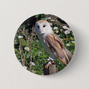 Barn Owl Pinback Button