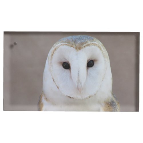 Barn Owl Place Card Holder