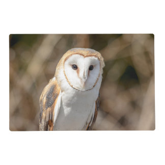 Barn Owl Placemat