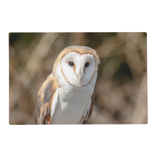 Barn Owl Placemat (Front)