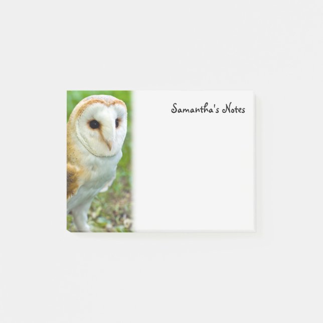 Barn Owl Post-It Notes (Front)