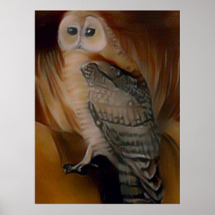 Barn Owl 🦉  Poster