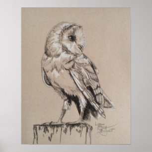 Barn Owl Poster