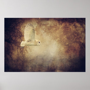Barn Owl Poster or for decoupage