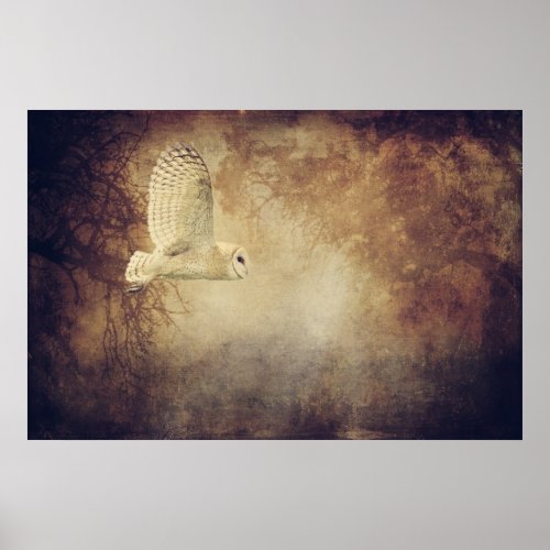 Barn Owl Poster or for decoupage