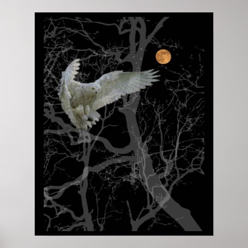 Barn Owl Poster Texas Screech Owl Wiccan Symbol Poster