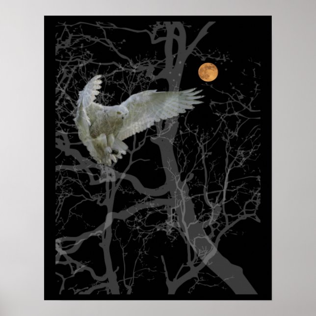 Barn Owl Poster, Texas Screech Owl, Wiccan Symbol Poster (Front)