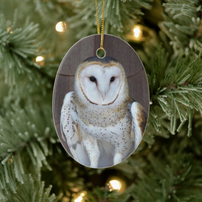 Barn Owl Raptor Photo Ceramic Ornament (Tree)