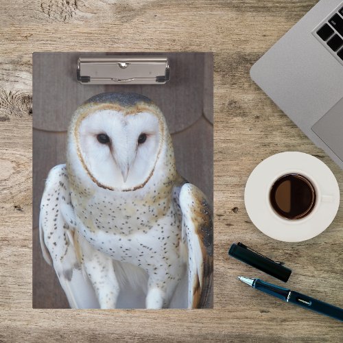 Barn Owl Raptor Photo Clipboard