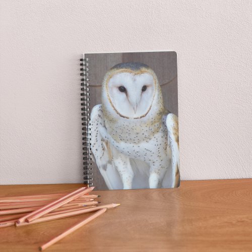 Barn Owl Raptor Photo Notebook