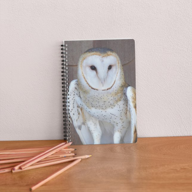 Barn Owl Raptor Photo Notebook (In Situ)