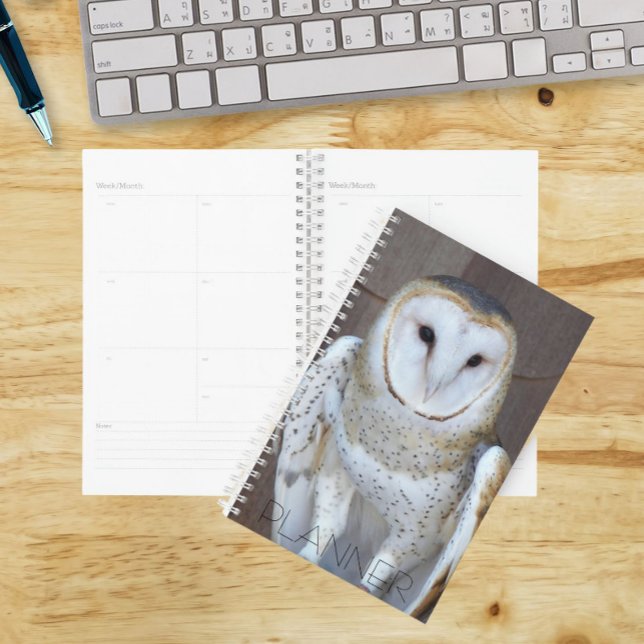 Barn Owl Raptor Photo Planner (In Situ)