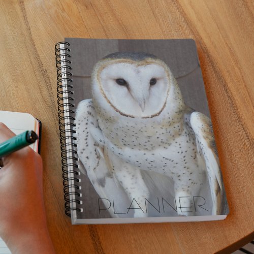 Barn Owl Raptor Photo Planner