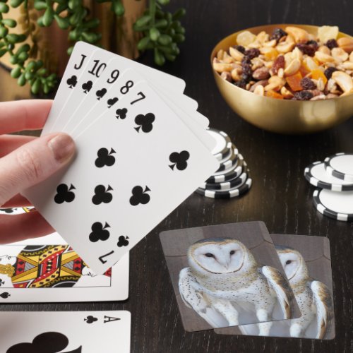 Barn Owl Raptor Photo Playing Cards