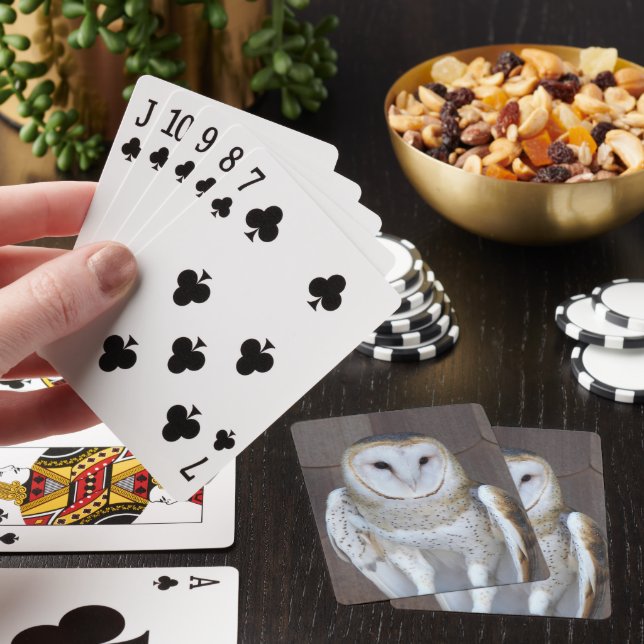 Barn Owl Raptor Photo Poker Cards (In Situ)