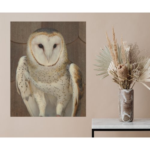 Barn Owl Raptor Photographic Wood Wall Art