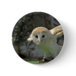 Barn Owl Round Button