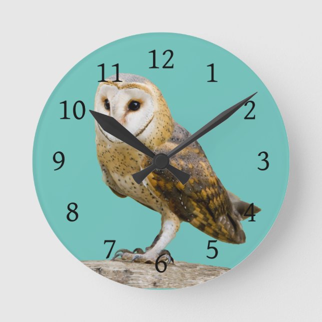 Barn Owl Round Clock (Front)