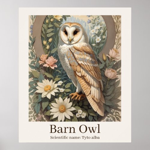 Barn Owl Scientific Name Wildlife Poster