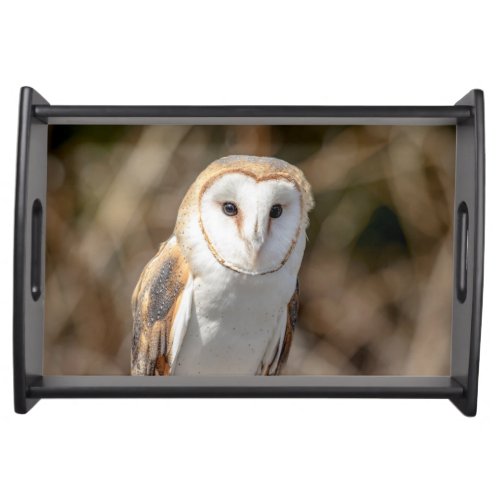 Barn Owl Serving Tray