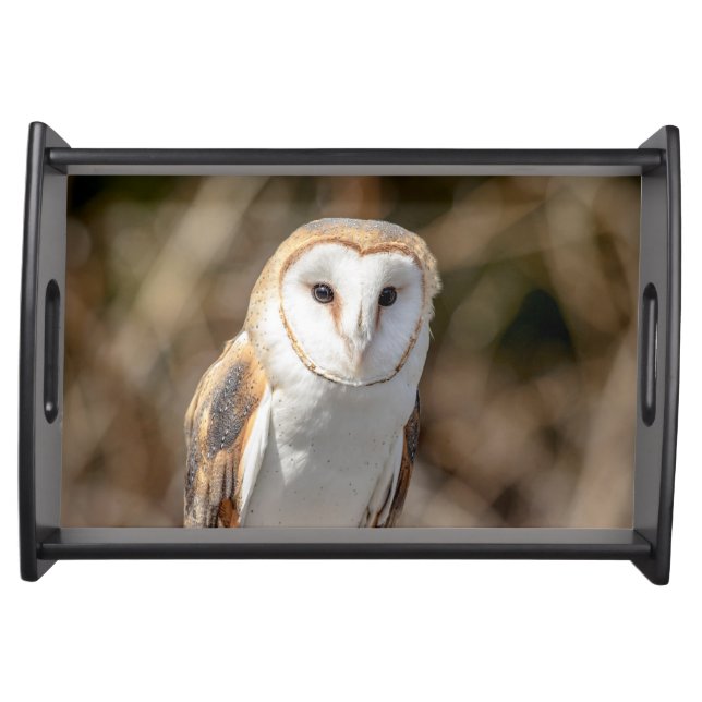 Barn Owl Serving Tray (Front)