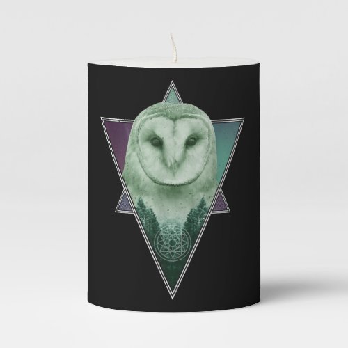 Barn Owl Spirit Animal Nature And Outdoor Lover Pillar Candle