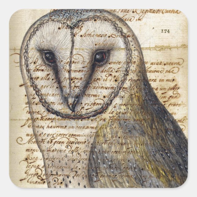 Barn Owl Square Sticker (Front)
