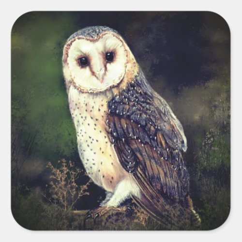 Barn Owl Sticker