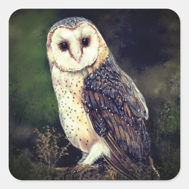 Barn Owl Sticker (Front)