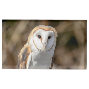Barn Owl Table Card Holder