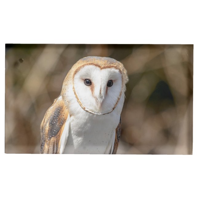Barn Owl Table Card Holder (Front)