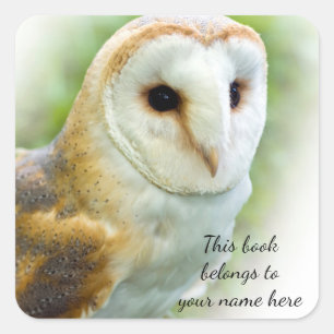 Barn Owl "This book belongs to" sticker