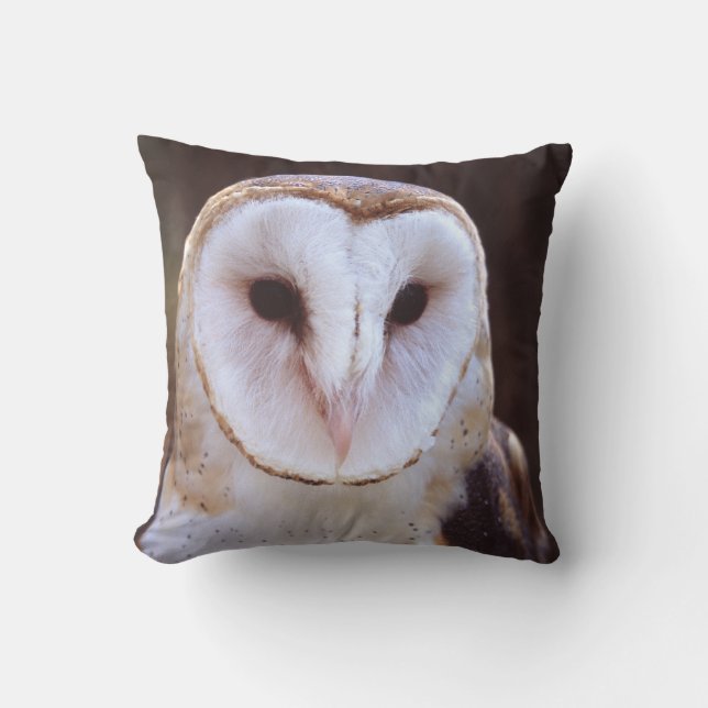 barn owl throw pillow (Front)