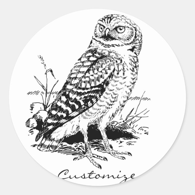 Barn Owl Thunder_Cove Classic Round Sticker (Front)