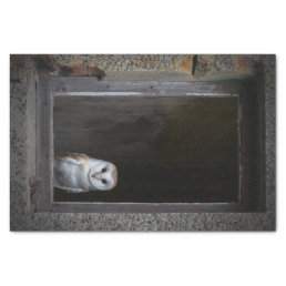 Barn Owl Tissue Paper