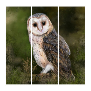 Barn Owl Triptych