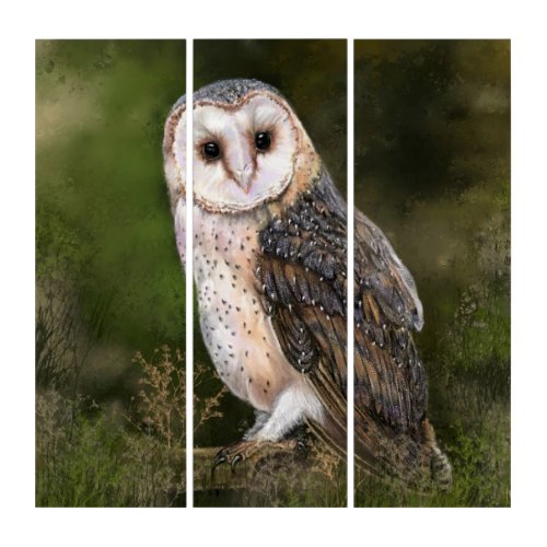 Barn Owl Triptych