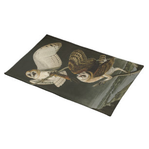 Barn Owl (Tyto alba) Audubon's Birds of America Cloth Placemat