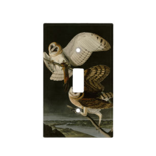 Barn Owl (Tyto alba) Audubon's Birds of America Light Switch Cover